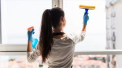 Fensterreinigung Braunschweig