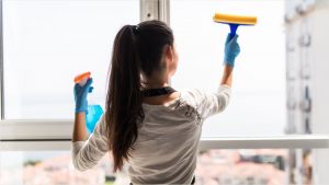 Fensterreinigung Braunschweig