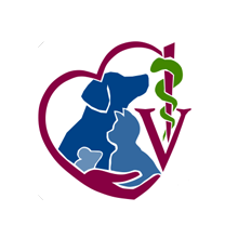 Schwarz Weiss Reinigung 507